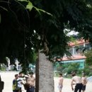 인천미용상사 이미지