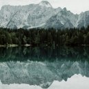 장미식품 이미지