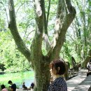 새움빌 태양광발전소 | 남프랑스 여행, 퐁텐느 드 보클뤼즈 Fontaine-de-Vaucluse.