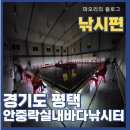 안중락실내바다낚시터 이미지