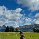 레이크힐민박 | [뉴질랜드 10박 숙소 비용] 평균 10만원/1인 에 해결한자의 내돈내산 숙소모음