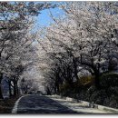 한국의 아름다운 길 100선 이미지