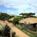 성읍민속마을 이미지