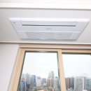 블루마리 이미지