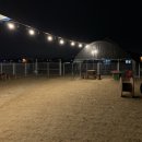 퍼피빌리티 이미지