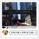 노아동물병원 이미지
