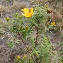 요한약국 이미지