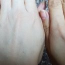 와이에스제이 네이버블로그