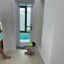 키즈풀빌라 쉼스테이 | 경주 키즈풀빌라 슬로우비스테이 C동 후기, 두 가족도 넉넉했던 숙소