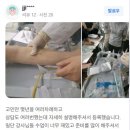 비손간호학원 이미지