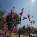 [우아한 올쓰]16명이 한 팀인 줄 알았다... 컨디션은 정말 좋은 구장, 이글몬트 CC