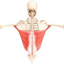 PT의 품격 이미지