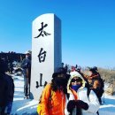 눈꽃회관 | 강원도 태백산의 설경을 꿈꾸며