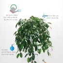 엣지하우스 이미지