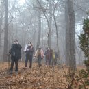 무봉산둘레길 이미지