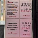 정성한우도축직판장 | 청주 정육점 새벽의한우도축직판장 청주 뭉티기 육회 한우 솔직후기