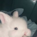 스무살에머물다 진서네일