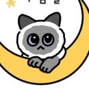 꾸움달