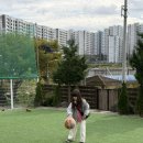 스테이웅 이미지