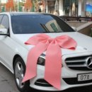 둔산중로-19 이미지