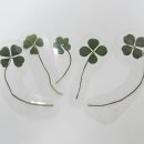 행운의료기 이미지