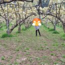 박현수농장 이미지