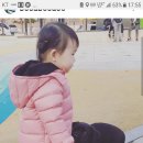 꽃보다 강쥐 네이버블로그