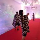 알프스얼음보석궁전 이미지