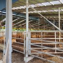 한우축사(2) 이미지