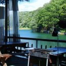 숲속의 예쁜별 이미지