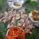 부산곰장어 이미지