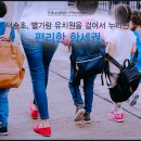 S&D하우스 이미지