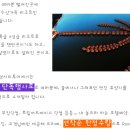 골든비 이미지