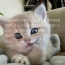 아이핸 이미지