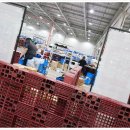 제일종합안전 이미지