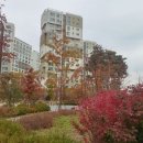 마곡하나공인중개사사무소 이미지