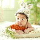 벌스데이스튜디오 이미지