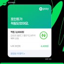 수민동물병원 | 가을이 더 짧아졌네..?