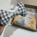 쇼프독 | 강아지 우비 준비 끝! "쇼프독-얼반 스마트 점퍼" 선물 받은 후기