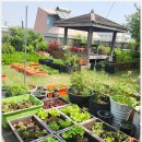 대구한의대학교 한방산업대학원 | [공지] KSU 국제대학교 대체의학 박덕순교수 임용식