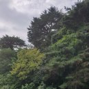 울진공인중개사사무소 이미지