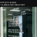 안온한 하루