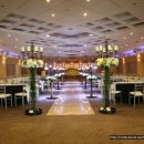 알리앙스 이미지