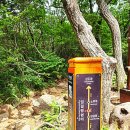 임걸령옹달샘 이미지