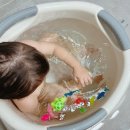 붕붕자동차 | 돌아기욕조 허그붕붕 자동차모양 유아욕조로 즐거운 목욕시간