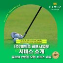 (주)엘위즈