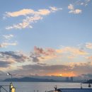 물고기 미포 이미지