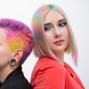 208-2-000049 이미지