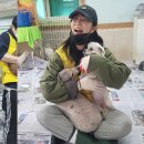 메디벳 주식회사 이미지