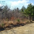 01-120 동구 이미지